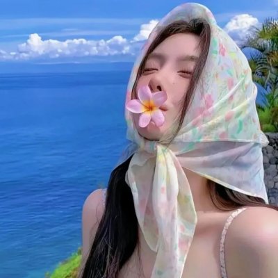 海燕双飞封面