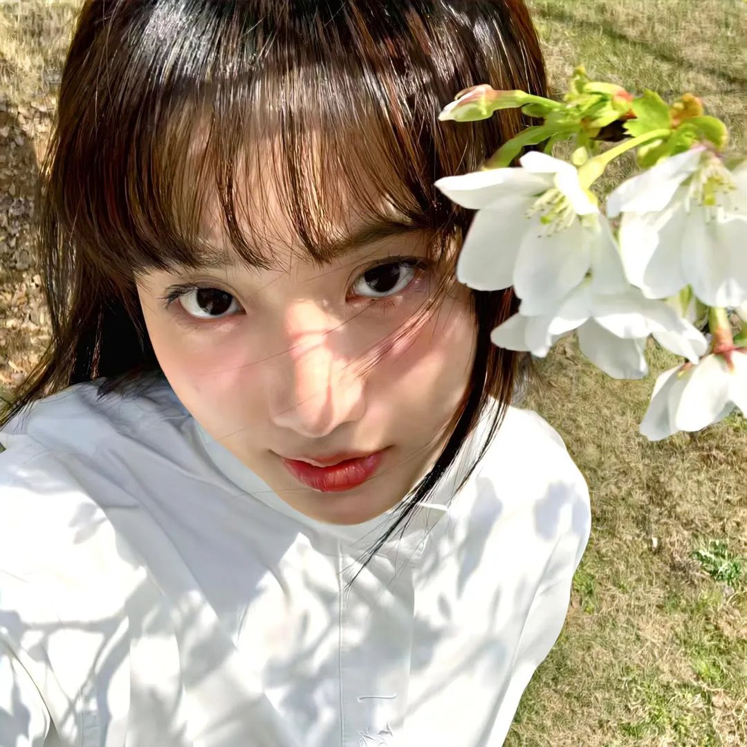 贩售太阳的女孩封面